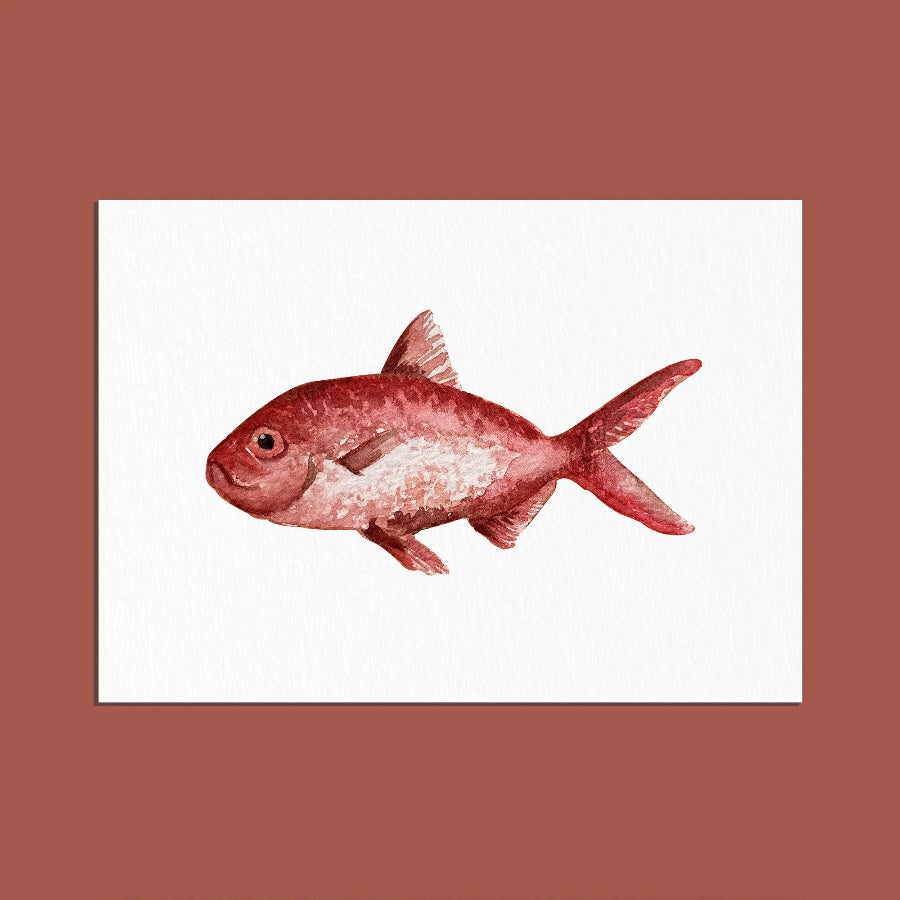 carte postale poisson rouge