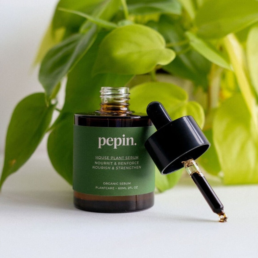 Engrais pour plantes vertes