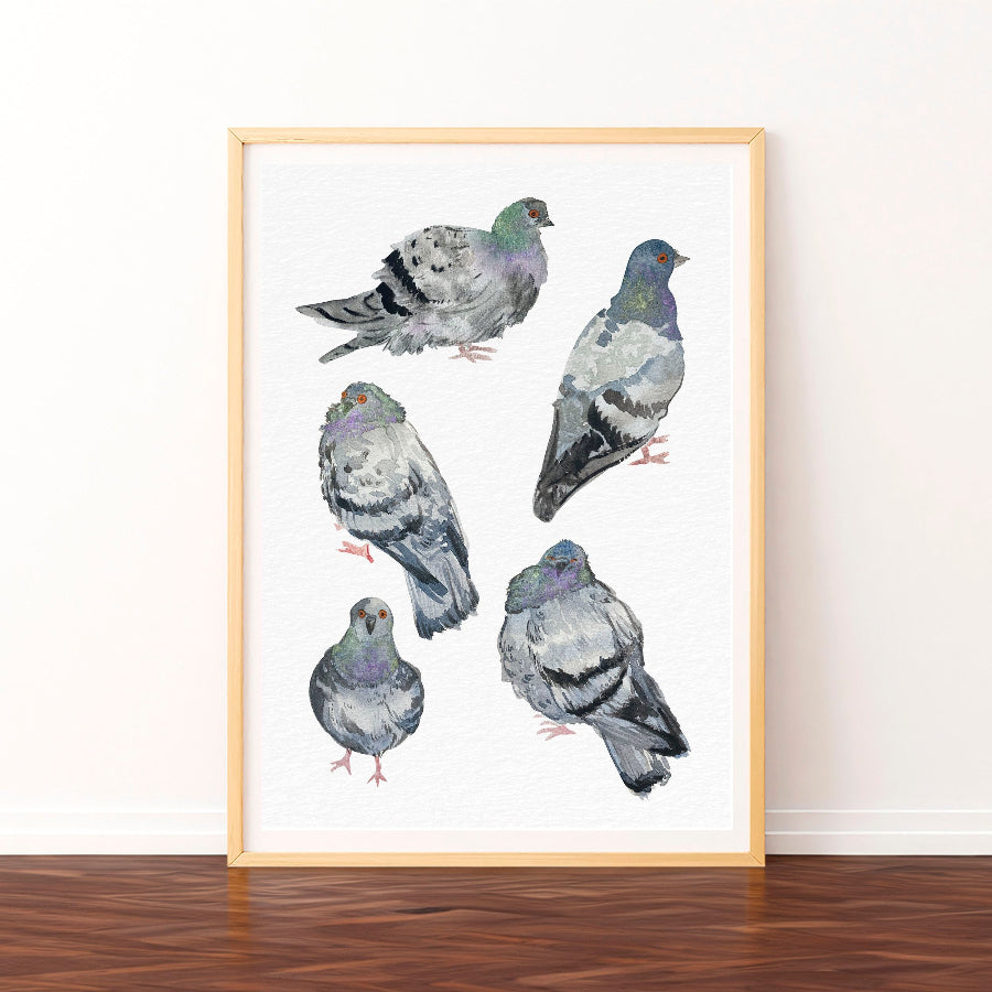 affiche pigeons ogre illustration