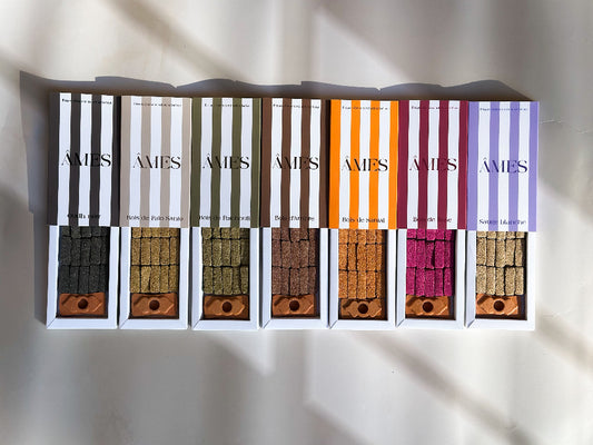 Briques d'encens naturel et brûleur âmes