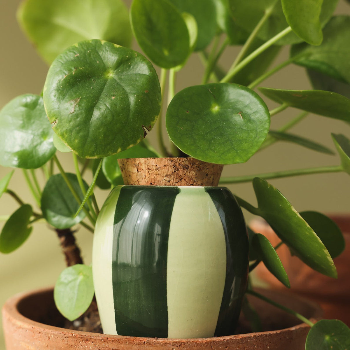 Trio Mini Ollas - Les Verts zoom
