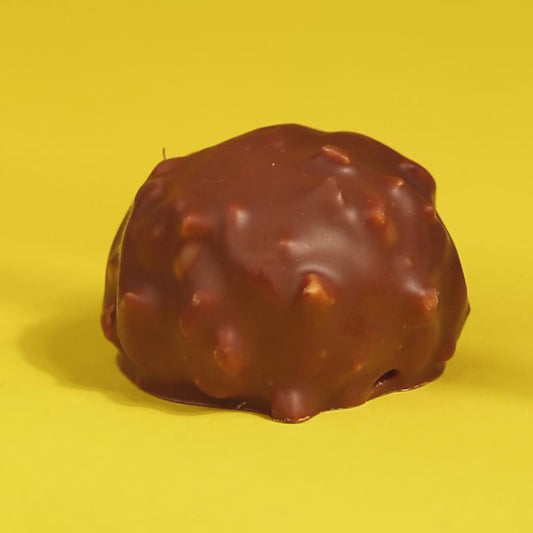 Coffret de 4 rochers pralinés - Chocolat noir & lait