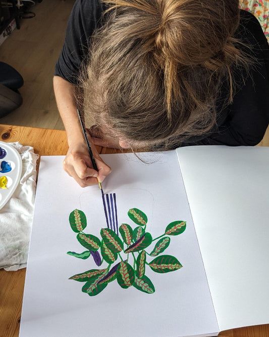 illustration calathea lucie leforestier